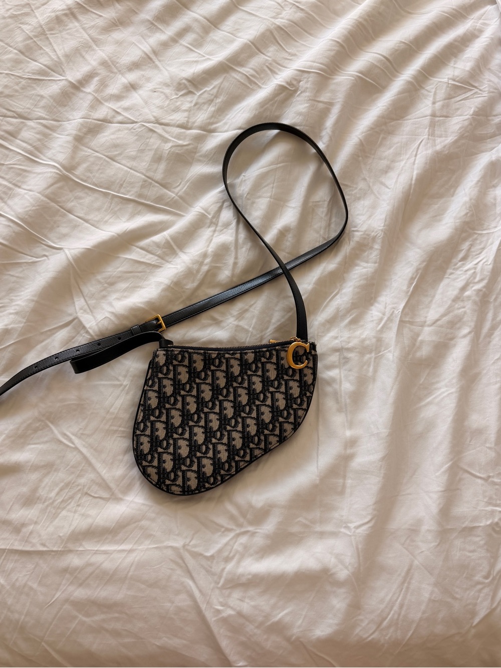 Authentic Dior Saddle Shoulder Bag - Picture 5 of 6